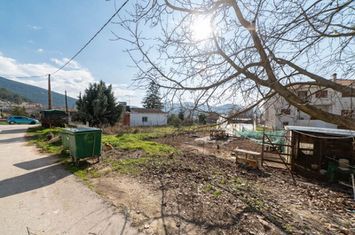 Teren construibil 399,22 mp în Amigdaleonas anunturi imobiliare Grecia