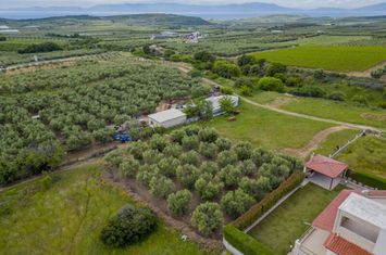 Teren construibil 751 mp în Galipsos, Kavala anunturi imobiliare Grecia