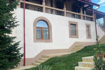 Vilă - 7 camere de vanzare IASI - Iasi anunturi imobiliare Iasi