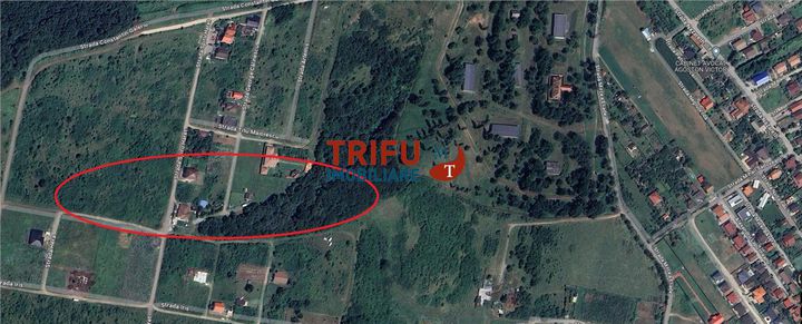 Teren Intravilan de vanzare CETATE - Alba anunturi imobiliare Alba