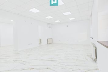 Proprietate de prestigiu în centrul Aradului anunturi imobiliare Arad