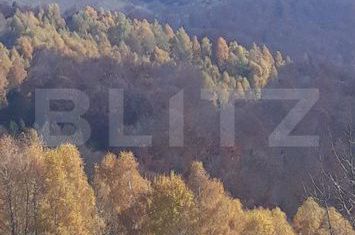 Teren de vanzare ALBA IULIA - Alba anunturi imobiliare Alba