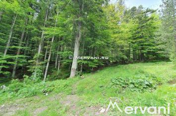 Teren Intravilan de vanzare SINAIA - Prahova anunturi imobiliare Prahova