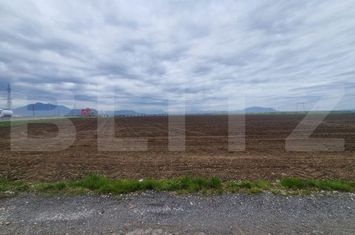 Teren de vanzare HARMAN - Brasov anunturi imobiliare Brasov