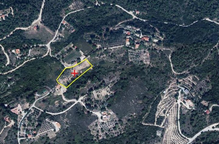Teren agricol 4.000,28 mp în Vasilaki, Kavala anunturi imobiliare Grecia