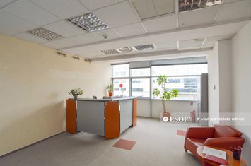 Birou de inchiriat STIRBEI-VODA - Bucuresti anunturi imobiliare Bucuresti