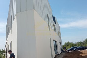 Casa P+1+M  260mp curte-Primarie Popesti Leordeni anunturi imobiliare Bucuresti