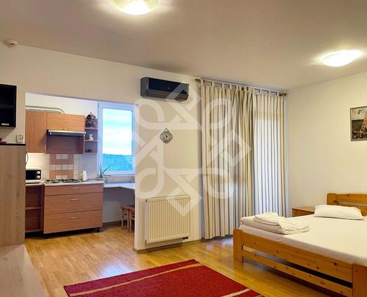 Garsonieră Iosia, 34 mp