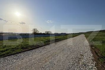 Teren de vanzare PLAIUL VULCANESTI - Dolj anunturi imobiliare Dolj