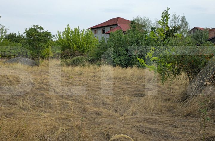 Teren de vanzare BARIERA VALCII - Dolj anunturi imobiliare Dolj