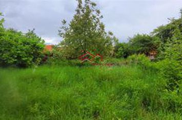 Casă - 4 camere de vanzare RASINARI - Sibiu anunturi imobiliare Sibiu