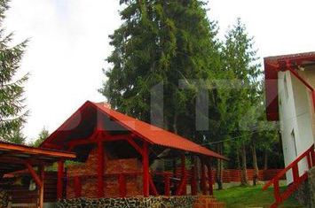 Vilă - 8 camere de vanzare BISTRITA - Bistrita-Nasaud anunturi imobiliare Bistrita-Nasaud