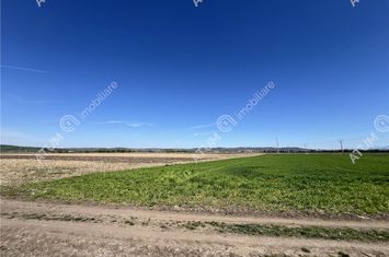 Teren Intravilan de vanzare CALEA SURII MICI - Sibiu anunturi imobiliare Sibiu