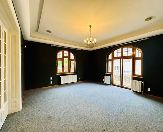 Vilă 7 cam Unirii, 500 mp, P+2