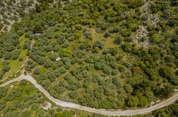 Teren 5.476,45 mp în Kallirachi, Thasos anunturi imobiliare Grecia