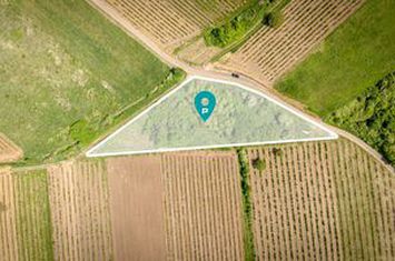 Teren extravilan - 3654 mp Dealul Șiriei anunturi imobiliare Arad