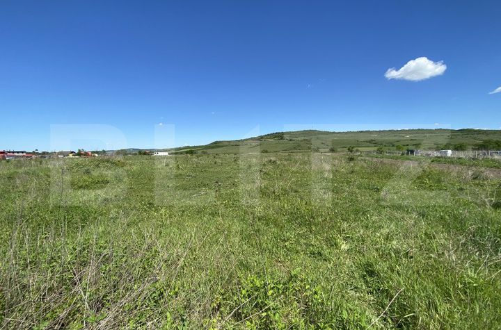 Teren de vanzare ZALAU - Salaj anunturi imobiliare Salaj