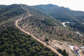 Teren construibil 6950 mp în Skala Marion, Thassos anunturi imobiliare Grecia