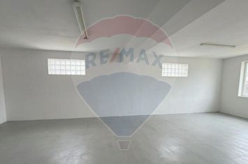 Spatiu de birouri, 160 mp, ideal multiple activitati-Inchiriere anunturi imobiliare Sibiu