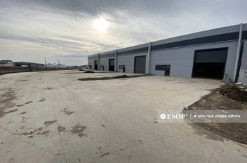 Spațiu industrial de inchiriat BUFTEA - Bucuresti anunturi imobiliare Bucuresti