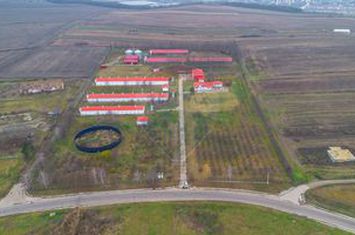 POZIȚIE STRATEGICĂ cu Potențial Major de Exploatare și Reconversie anunturi imobiliare Iasi