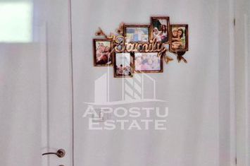 Apartament o camera, 28 mp utili, zona centrala anunturi imobiliare Arad