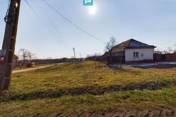 Casă cu Potențial Imens în Șipet, comuna Tormac anunturi imobiliare Timis