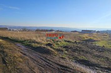 Teren Intravilan de vanzare CETATE - Alba anunturi imobiliare Alba