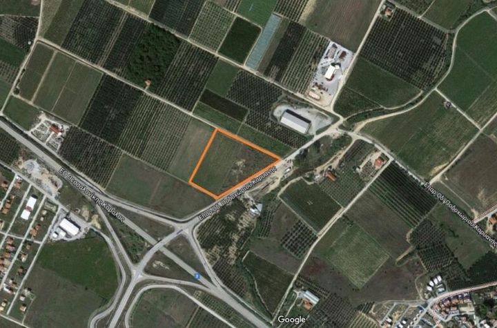 Teren construibil 18872 mp în Kariani anunturi imobiliare Grecia