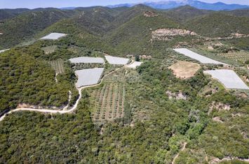Teren 16358 mp în Folia, la 2 km de plajă anunturi imobiliare Grecia
