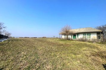 Teren de vanzare DAENI - Tulcea anunturi imobiliare Tulcea