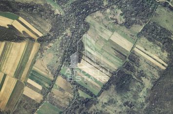 Teren mixt de 10.000 mp, ideal pentru investitie, Barsa anunturi imobiliare Arad