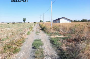 Teren Intravilan de vanzare COMUNA BERCENI - Bucuresti anunturi imobiliare Bucuresti