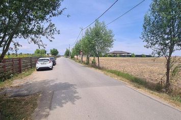 Balotesti str. Amurgului teren 5000 mp anunturi imobiliare Bucuresti