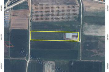 Teren agricol 7.812 mp în Pontolivado anunturi imobiliare Grecia