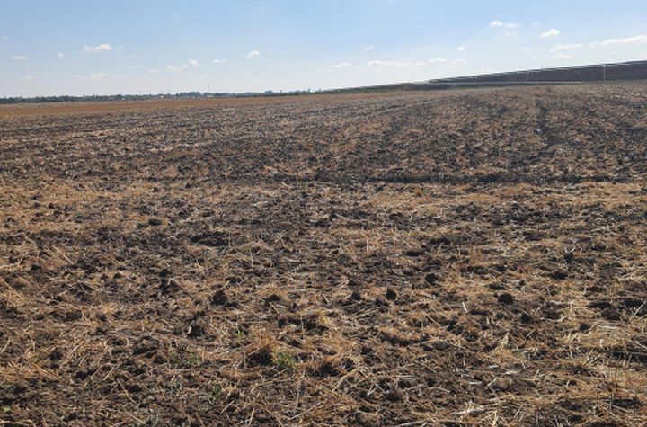 Teren de vanzare DOMNESTI - Bucuresti anunturi imobiliare Bucuresti