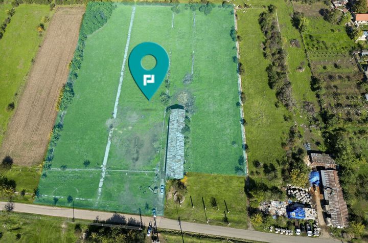 Hală de 430 mp și teren intravilan 2.5 ha Macea anunturi imobiliare Arad