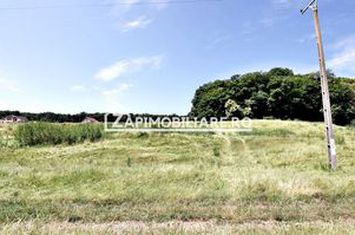 Teren 9.600 mp.17 euro mp deschidere la drum 200 m. anunturi imobiliare Mures