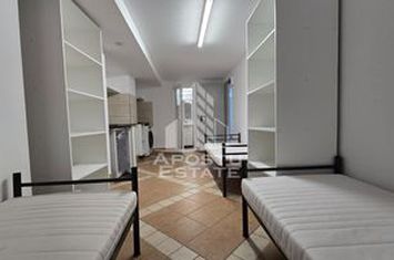 Apartament cu 1 camera, Sagului anunturi imobiliare Timis