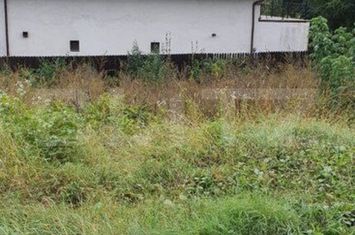 Teren de vanzare LIVEZENI - Mures anunturi imobiliare Mures