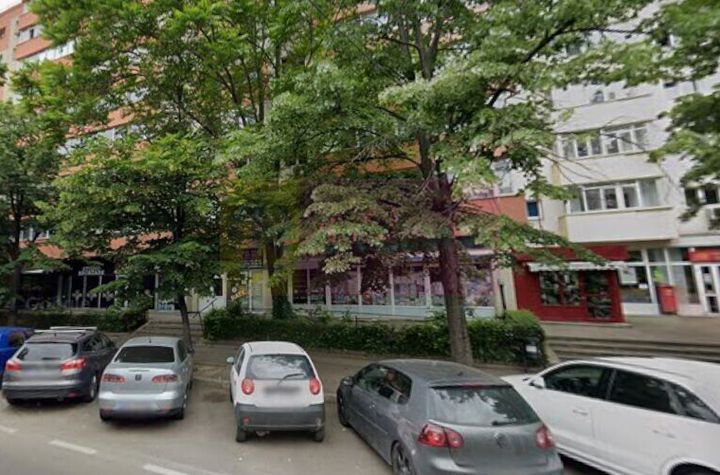 Inchiriere spatiu comercial in zona Teiul Doamnei, stradal anunturi imobiliare Bucuresti