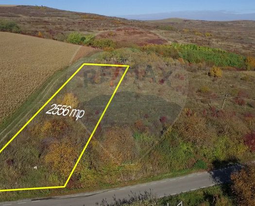 Teren Intravilan Padureni (Chinteni), 2556 mp