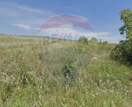 Teren Intravilan Chinteni, 2556 mp