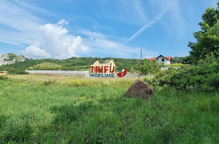 Casă - 3 camere de vanzare AMPOITA - Alba anunturi imobiliare Alba