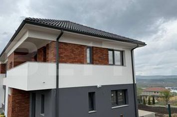 Vilă - 4 camere de vanzare DEZMIR - Cluj anunturi imobiliare Cluj