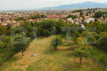 Teren de vanzare CODLEA - Brasov anunturi imobiliare Brasov