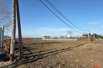 Teren Extravilan de vanzare VEST - Vrancea anunturi imobiliare Vrancea