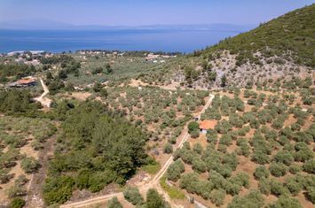 Teren 1800 mp în Skala Rachoniou, Thassos anunturi imobiliare Grecia