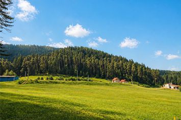 Teren Intravilan de vanzare SACELE - Brasov anunturi imobiliare Brasov