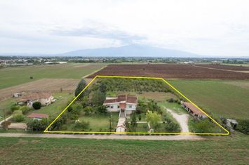 Casă individuală 369 mp pe teren 10.500 mp – Arkadikos anunturi imobiliare Grecia